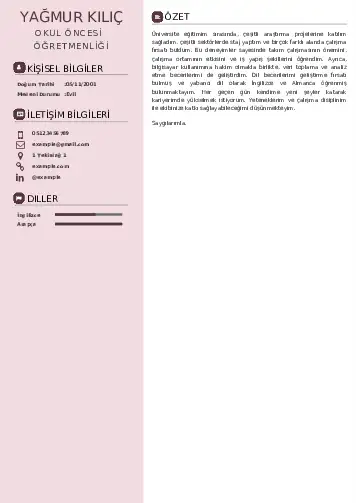 Okul Öncesi Öğretmeni Öğretmenliği Cv Örnekleri cv indir